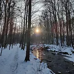 Beskydy Four Seasons *
