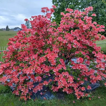 Beskydy Four Seasons *