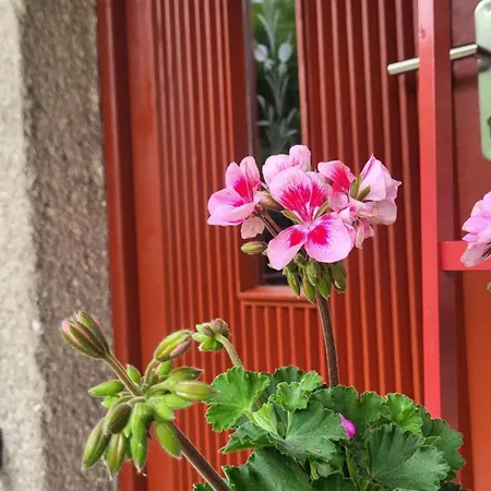 아파트 Beskydy Four Seasons