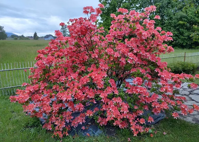 Beskydy Four Seasons *